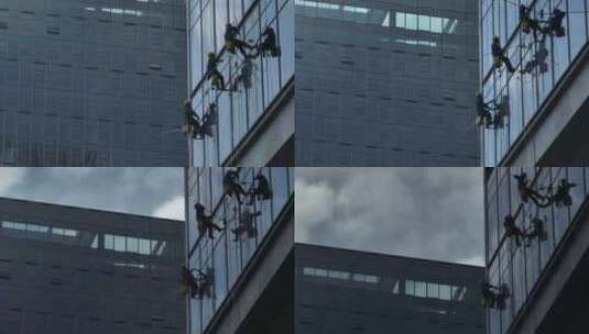 城市楼宇清洁高空作业蜘蛛人高清在线视频素材下载