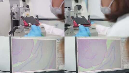 实验室工作人员操作仪器素材高清在线视频素材下载