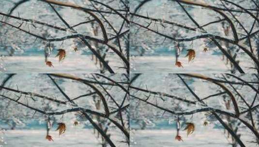 4K-唯美雪景树枝三维动画高清在线视频素材下载