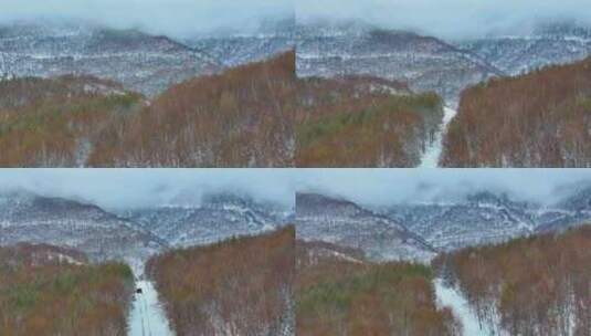 4k航拍车辆行驶在雪后的山林中高清在线视频素材下载