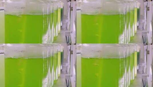 藻类生物燃料实验高清在线视频素材下载