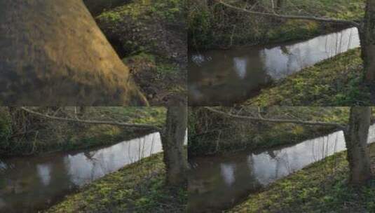 平移俯视流动的溪流高清在线视频素材下载