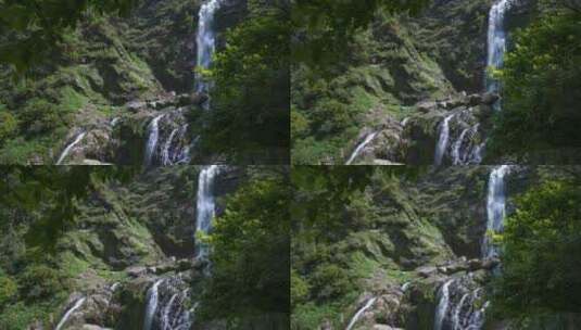森林瀑布流水高清在线视频素材下载