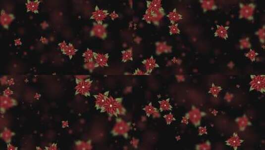 唯美暗红色长寿花粒子背景视频高清在线视频素材下载