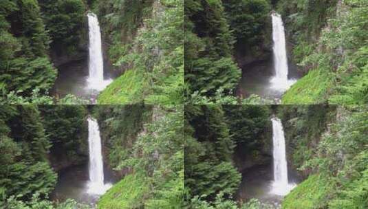 森林中央的瀑布高清在线视频素材下载