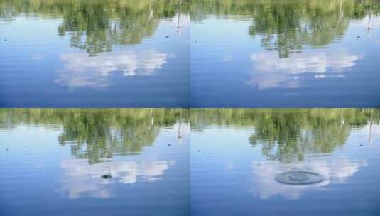 夏天公园湖水中的倒影涟漪高清在线视频素材下载