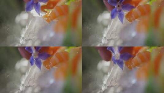 寿司上放入花朵高清在线视频素材下载