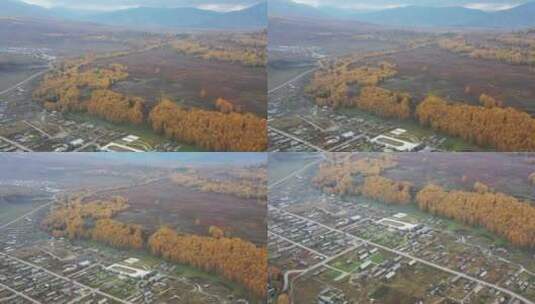 新疆禾木村在秋天的航拍视频高清在线视频素材下载