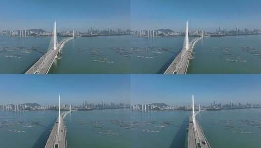 深圳湾大桥高清在线视频素材下载