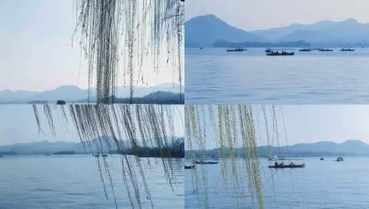 杭州西湖春天柳树游船视频素材高清在线视频素材下载