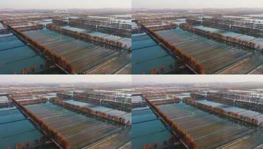 江苏省南京市高淳区团结圩水产养殖场航拍高清在线视频素材下载
