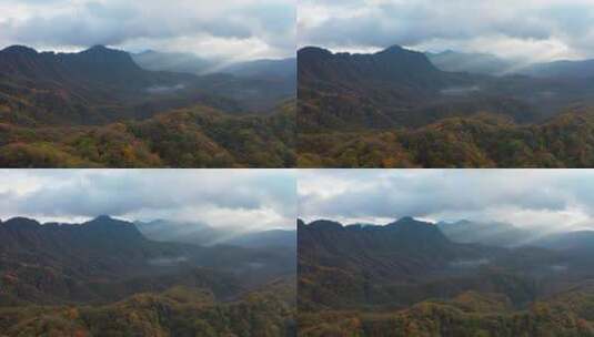 四川省巴中市米仓山国家森林公园航拍高清在线视频素材下载