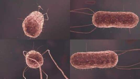 医学微观生物病毒细胞形态医疗三维动画展示高清在线视频素材下载