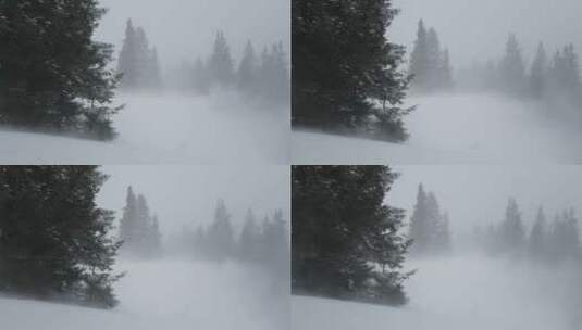 大风吹过积雪覆盖的树林 森林暴雪镜头特写高清在线视频素材下载