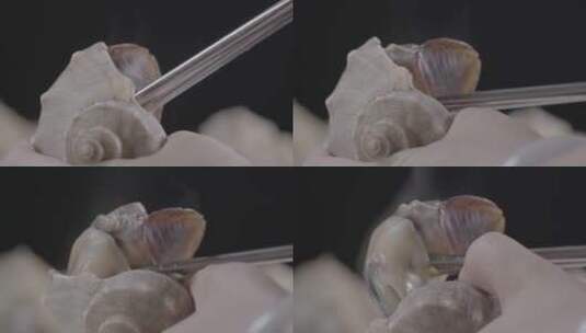 海螺海螺肉LOG视频素材高清在线视频素材下载