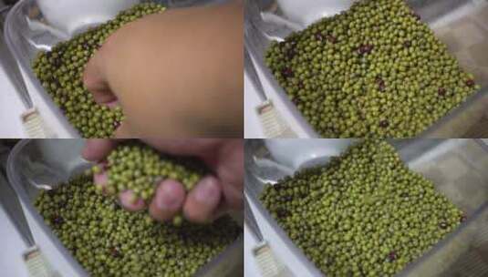 抓一把绿豆散落的五谷杂粮高清在线视频素材下载