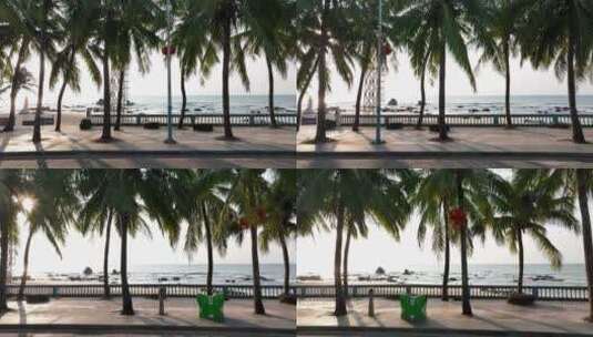 航拍海边公路和椰子树高清在线视频素材下载