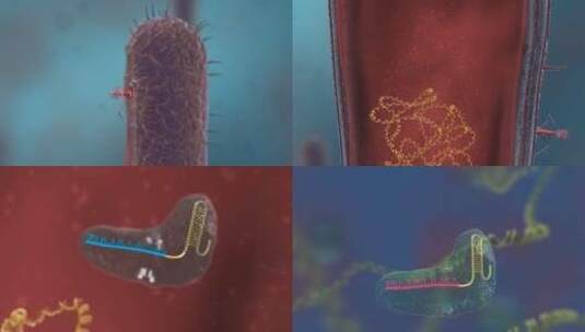 传染病毒 流感病毒 病原体 病毒 细胞高清在线视频素材下载
