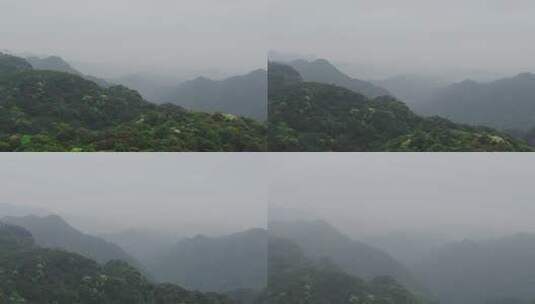 云雾森林航拍大景4K高清在线视频素材下载