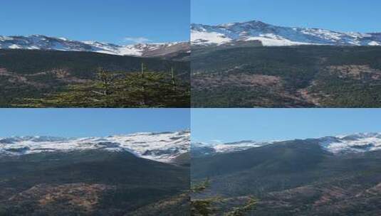 白马雪山竖拍视频高清在线视频素材下载