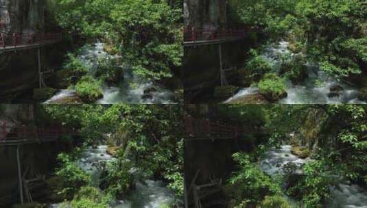 云南香格里拉普达措国家公园彩虹瀑布高清在线视频素材下载