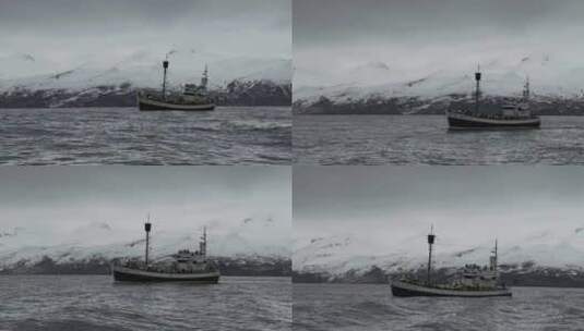 冰岛观鲸高清在线视频素材下载