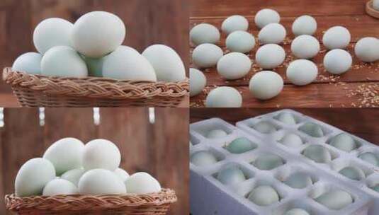 绿壳鸡蛋高清在线视频素材下载