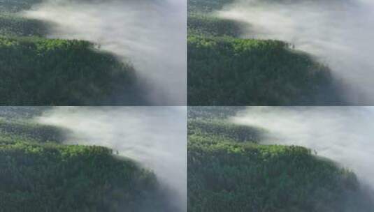 航拍黎明青山云雾缭绕高清在线视频素材下载
