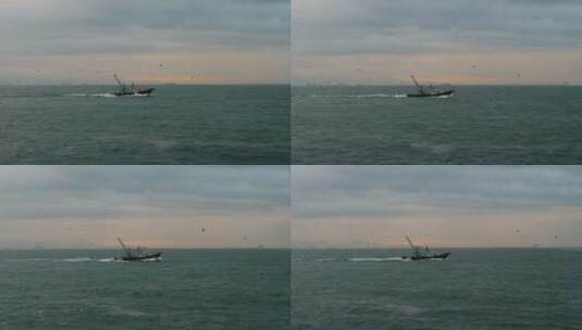 黄昏的海鸥与渔船高清在线视频素材下载