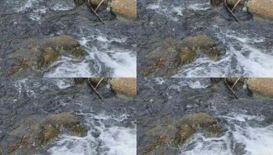 大山里的小溪河流石头水花唯美生态高清在线视频素材下载