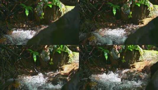海南热带雨林森林溪流溪水泉水流动慢动作高清在线视频素材下载
