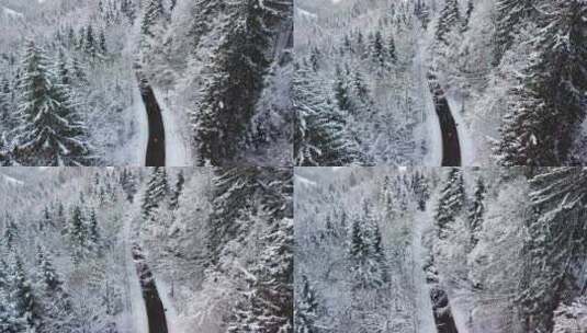 瑞士阿尔卑斯雪林冬季仙境路上的人，鸟瞰高清在线视频素材下载