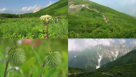 高原雪山雪景云雾湖泊绿色花圃高清在线视频素材下载