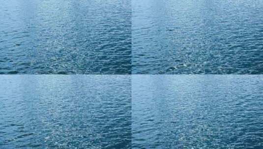 波光粼粼的湖面 水面高清在线视频素材下载