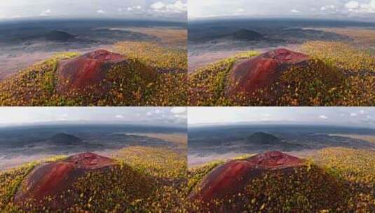 火山上空的黄树高清在线视频素材下载