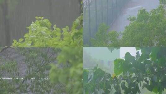 树枝树叶狂风暴雨刮风下雨倾盆大雨下雨天雨高清在线视频素材下载