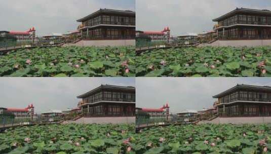 生态湿地长荡湖水街典雅船餐厅建筑风光高清在线视频素材下载