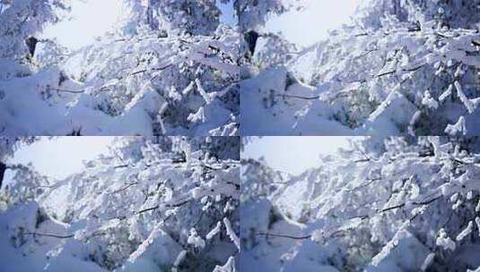 四川眉山瓦屋山景区树枝上覆盖冰雪的雪景高清在线视频素材下载