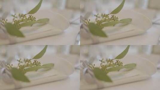 装饰婚宴的绿植高清在线视频素材下载