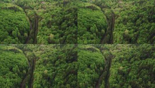 无人机拍摄森林高清在线视频素材下载