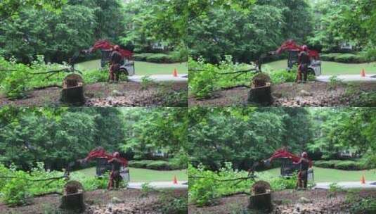 在森林公园里用小型吊机清理树枝高清在线视频素材下载