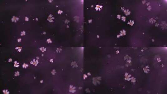 紫色格桑花花瓣飘飞LED唯美背景演绎视频高清在线视频素材下载