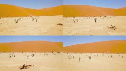 纳米比亚沙漠沙丘和枯树高清在线视频素材下载