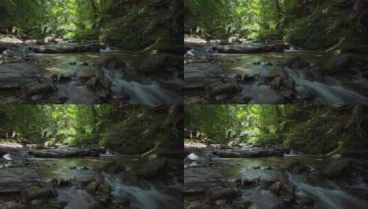 森林溪流流水高清在线视频素材下载