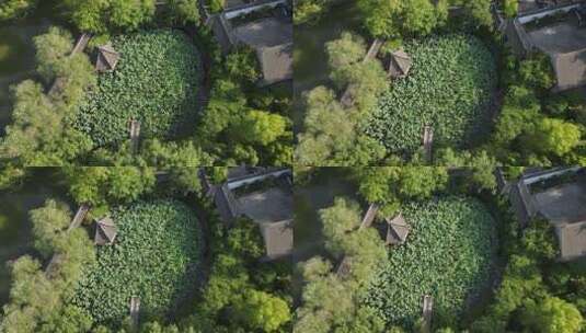 上海醉白池公园4K航拍原素材高清在线视频素材下载