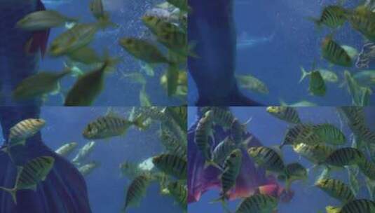 美人鱼表演潜水员海底世界高清在线视频素材下载