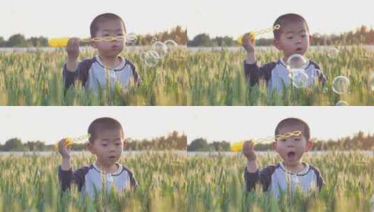 中国小朋友在麦田地中挥舞着旗帜玩耍泡吹泡高清在线视频素材下载