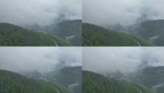 航拍云雾间原始森林4K50帧高清在线视频素材下载