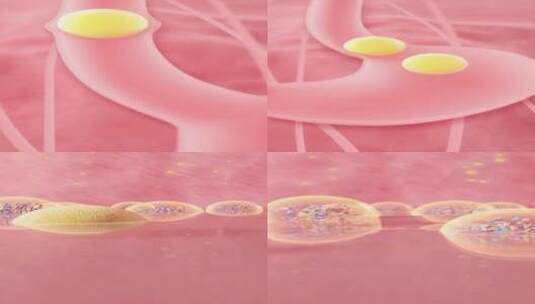 c4d 肠道益生菌消化分解完整三维动画高清在线视频素材下载