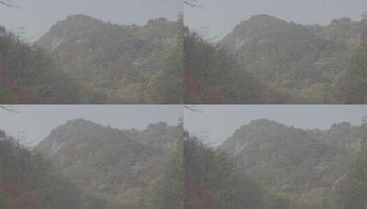 秋天的大山LOG高清在线视频素材下载